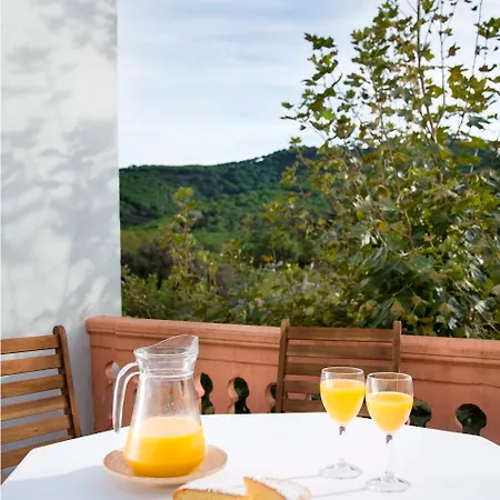 D 'argentona Hotel